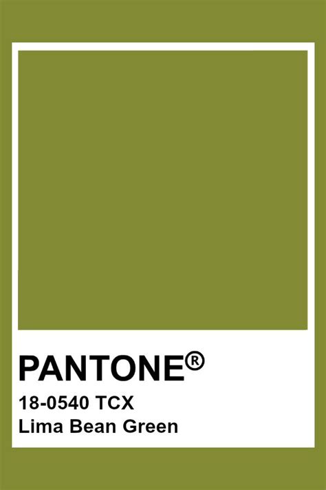 Lima Bean Green Pantone