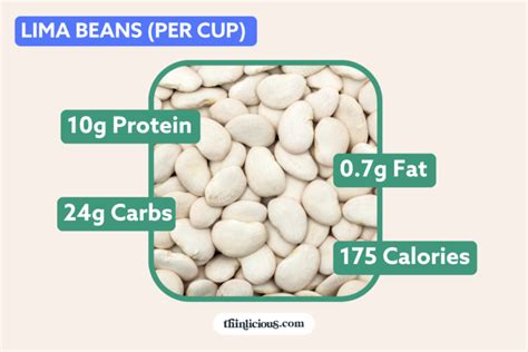 Lima Bean Protein Count