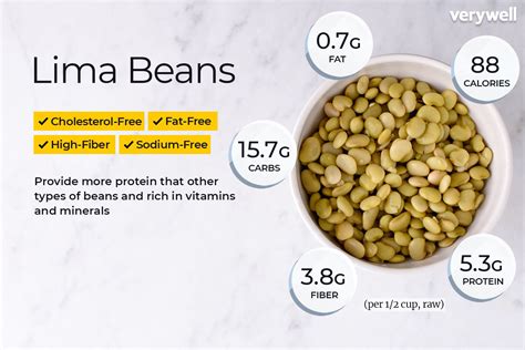 Lima Beans Contain Protein