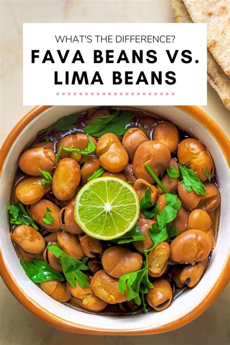 Lima Beans Fava Beans