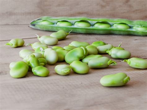 Lima Beans Freezing Fresh