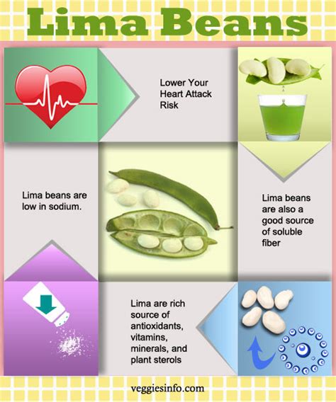 Lima Beans Fun Facts