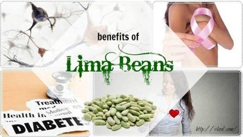 Lima Beans While Pregnant