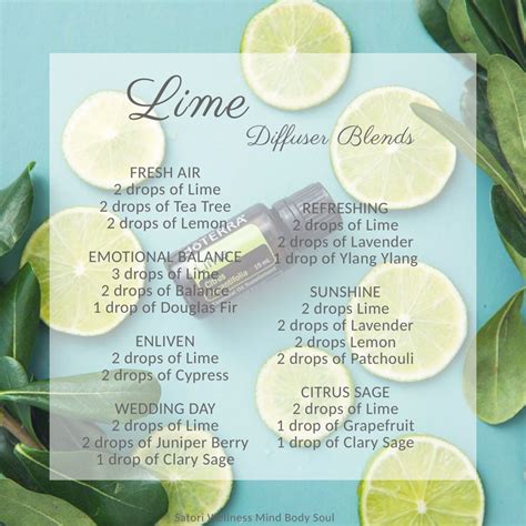 Lime Essential Oil Diffuser Blends