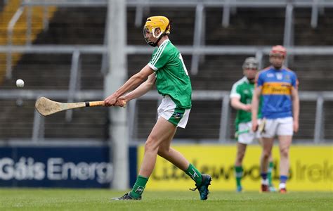 limerick gaa hurling hogan stand