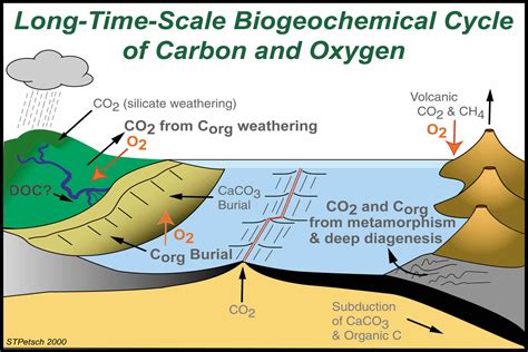 limestone in the carbon cycle