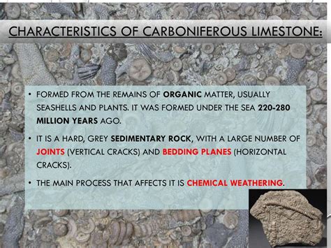 Limestone Observable Characteristics