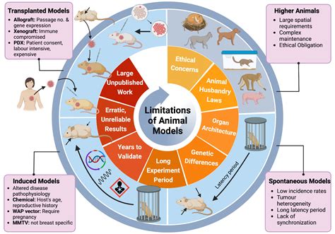 Limitations of Animal Models