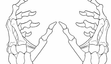 Women's hands linear line hand drawing A6 by