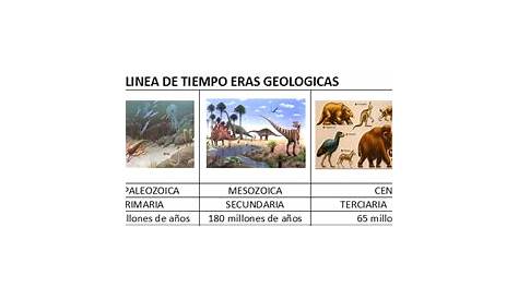 LINEA DE TIEMPO DE LAS ERAS GEOLÓGICAS Y LAS EXTINCIONES MASIVAS GRUPO #1,…