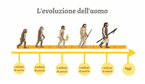 Linea Di Tempo Di Infographics Di Evoluzione Umana Trasformare