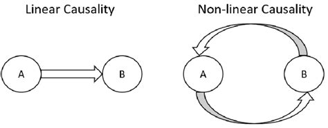 Linear Causality Examples
