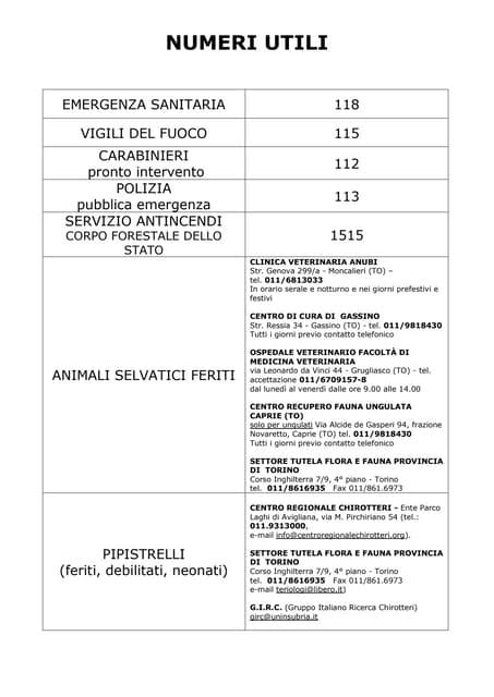 Linear Numeri Utili