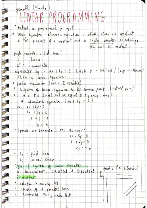 Linear Programming Reaction Paper