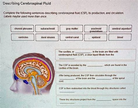 Lines Csf Filled Cavities Exercise 15