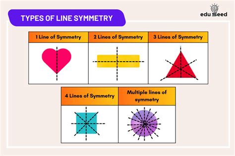 Lines Of Symmetry Types