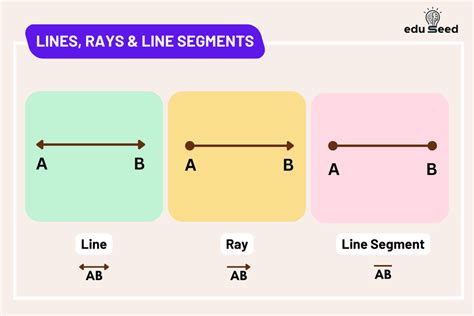 Lines Rays And Line Segments