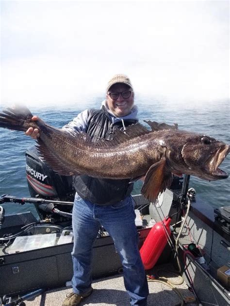 Lingcod Fishing in Washington State