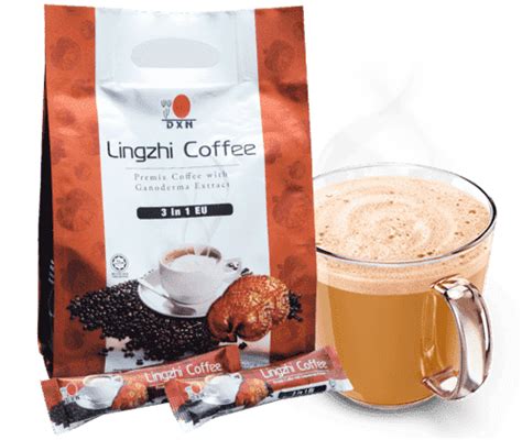 lingzhi coffee