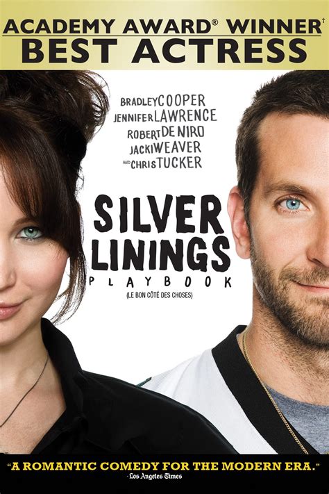 linings silver