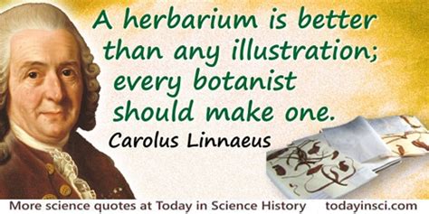 Linnaeus Quotes