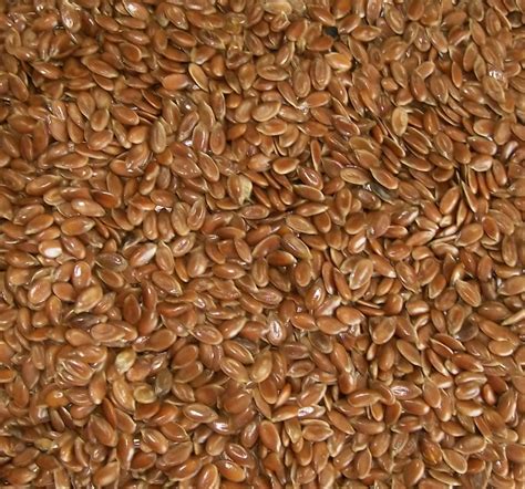 Linseed Definition