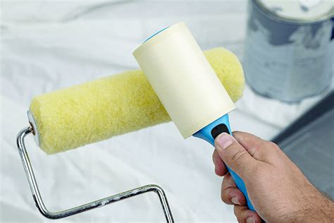 Lint In Paint From Roller