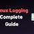 linux logger command examples