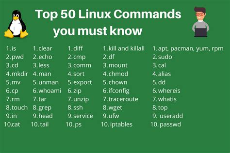 Linux Basic Command