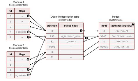 Linux Check File Descriptor Open