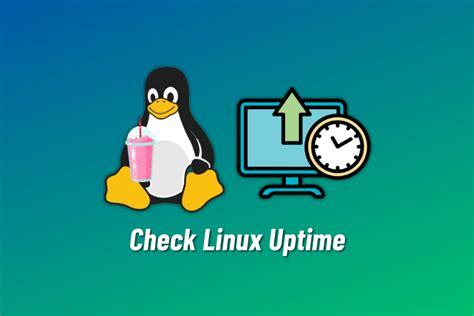 linux check system uptime