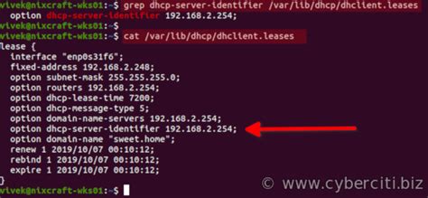 linux command to find dhcp server ip
