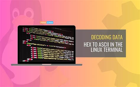 Linux Convert Ascii Hex To Binary