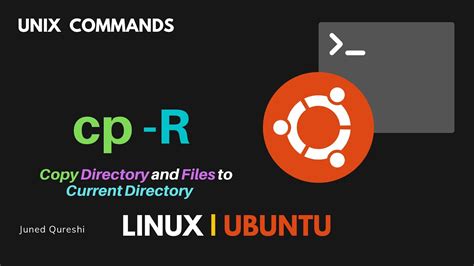 Linux Copy All Files In A Directory Recursively