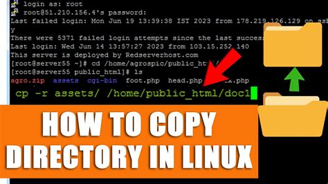 linux copy directory to another location