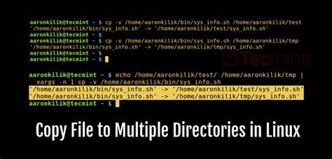 linux copy file from one directory to another and rename