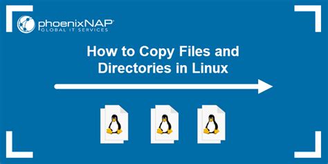 linux copy folder exclude files