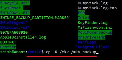 linux copy folder to another location