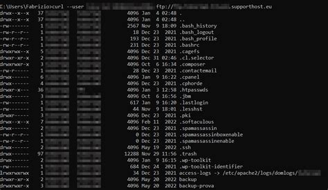 linux curl send file