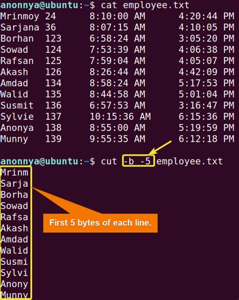 Linux Cut File In Half