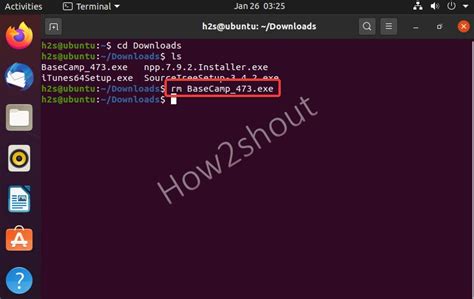 Linux Delete Files Beginning With
