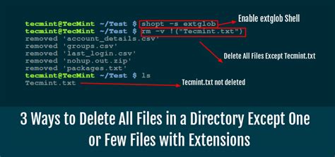 Linux Delete Files From Subdirectories