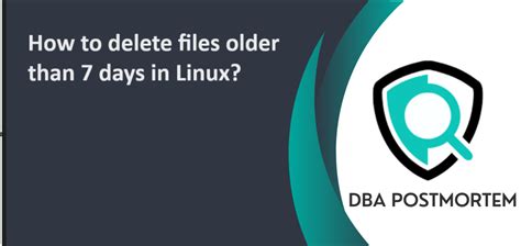 Linux Delete Files More Than 7 Days Old