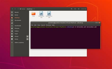 Unleash Mastery: How to Permanently Delete Files in Linux like a Pro