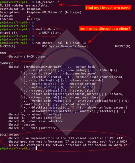 linux dhcp get new ip