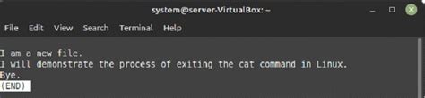 linux exit cat command