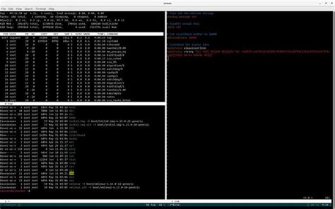 linux exit screen command