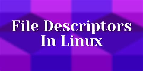 Linux File Descriptor Allocation