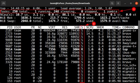 Linux Find And Kill Zombie Processes
