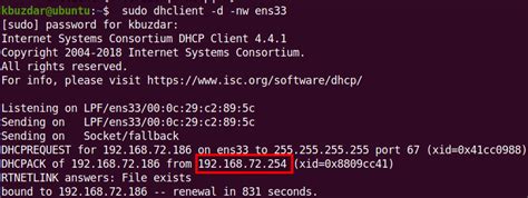 linux find dhcp server